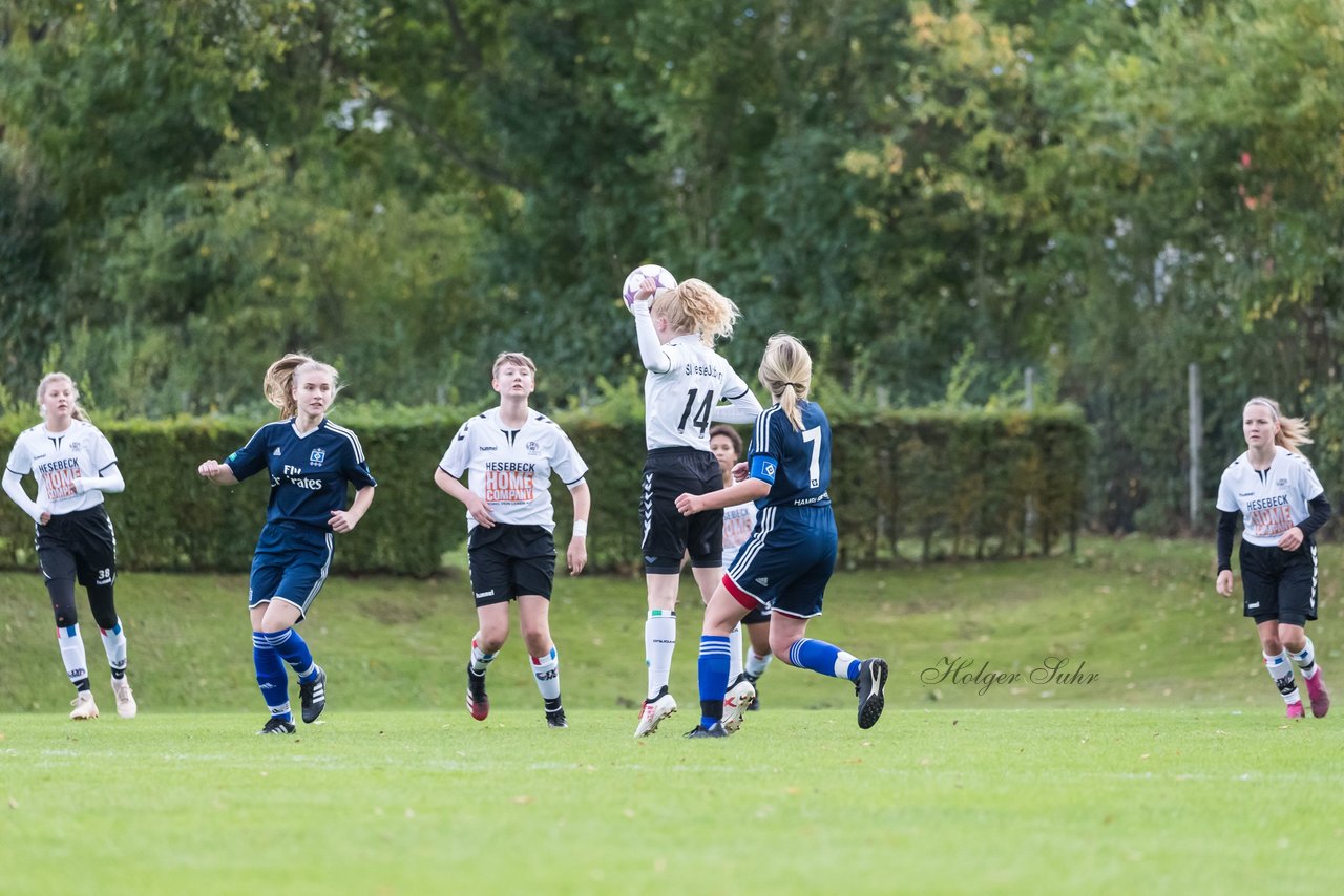 Bild 225 - B-Juniorinnen SV Henstedt Ulzburg - Hamburger SV : Ergebnis: 2:3